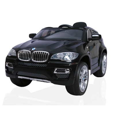  Barty BMW X6  