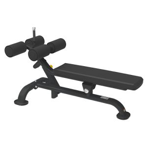 - Bronze Gym BR-1005