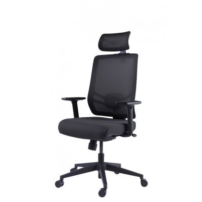    GT Chair InFlex Z